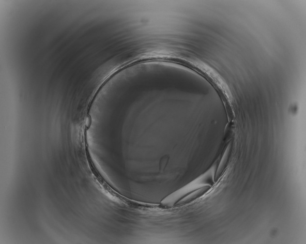 X0000097591337200803211628