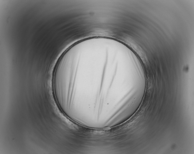 X0000097591339200803211628