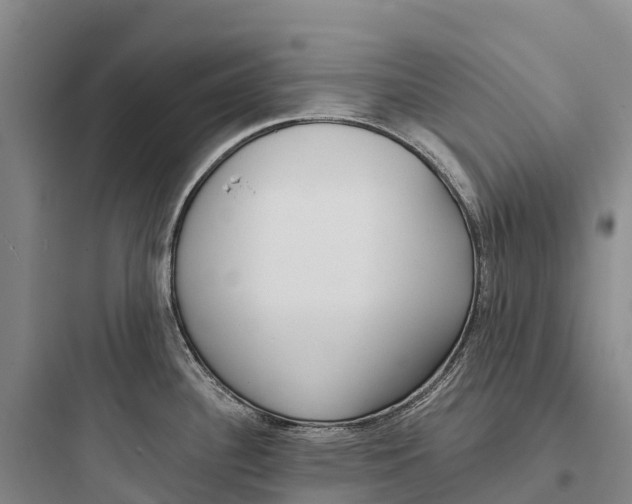 X0000097591340200803211628