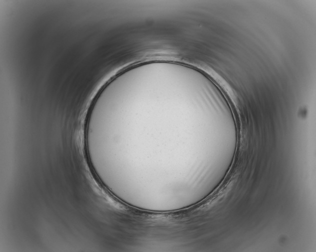 X0000097591341200803211628