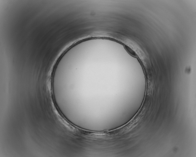 X0000097591342200803211628