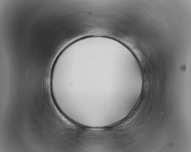 X0000097591343200803211628