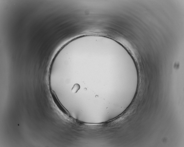 X0000097591344200803211628