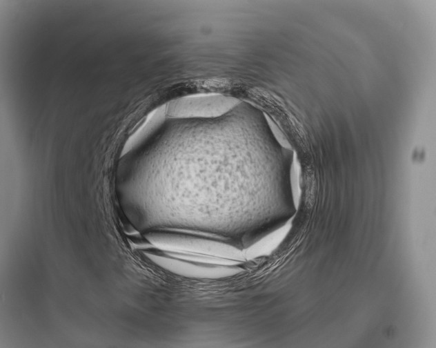 X0000097591345200803211627