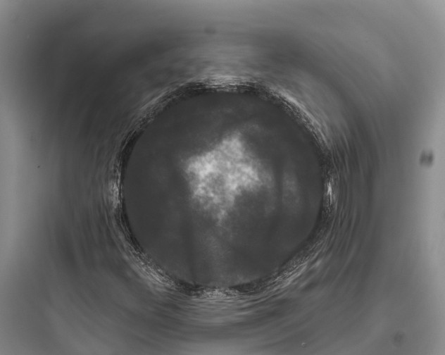 X0000097591348200803211627