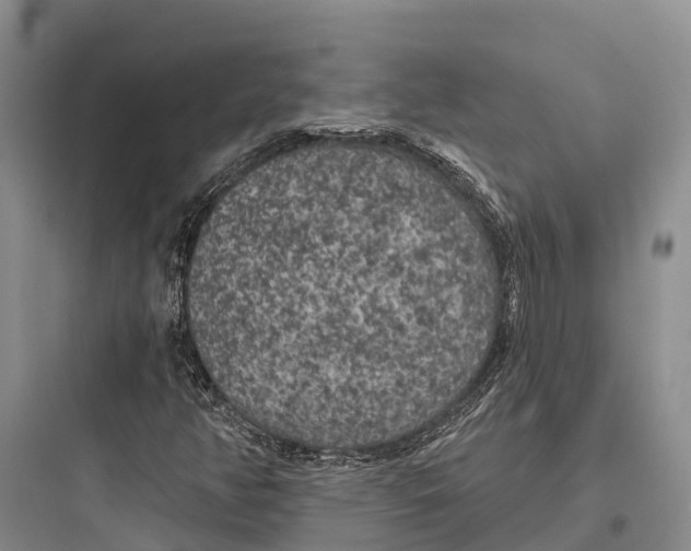 X0000097591350200803211627