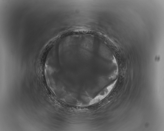 X0000097591351200803211627