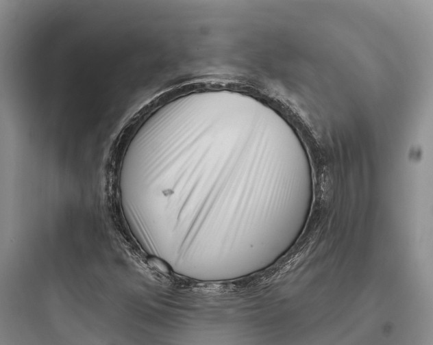 X0000097591352200803211627