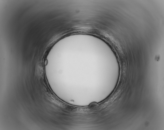 X0000097591354200803211627