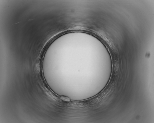 X0000097591356200803211627