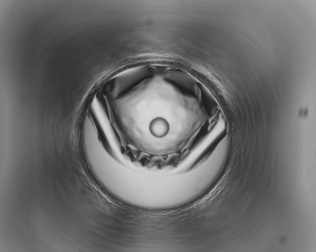 X0000097591357200803211627