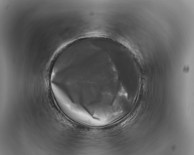 X0000097591358200803211627