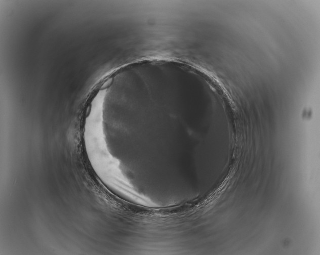 X0000097591359200803211627