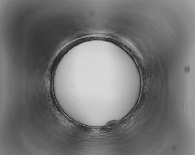 X0000097591360200803211627