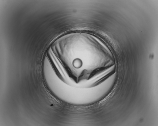 X0000097591361200803211627