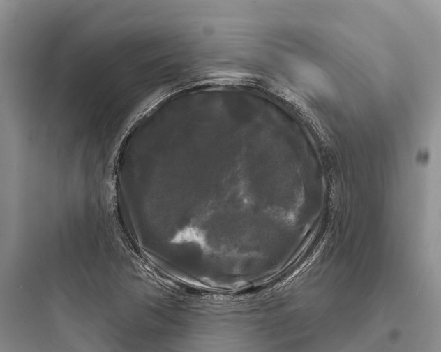 X0000097591362200803211627