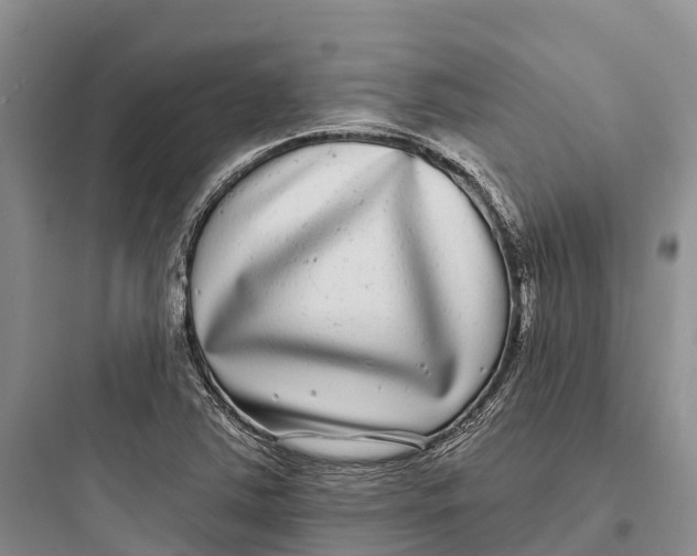 X0000097591363200803211627