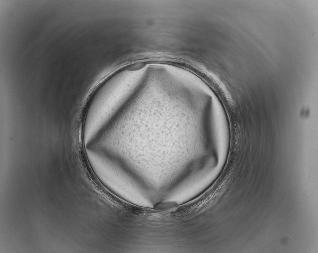 X0000097591365200803211627