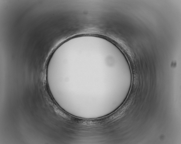 X0000097591366200803211627