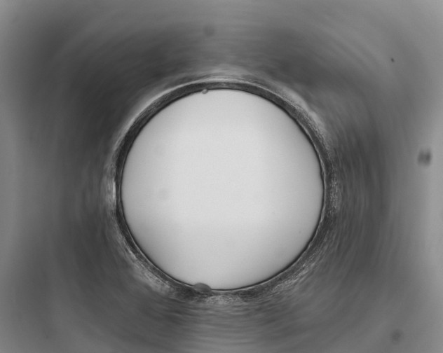 X0000097591368200803211627