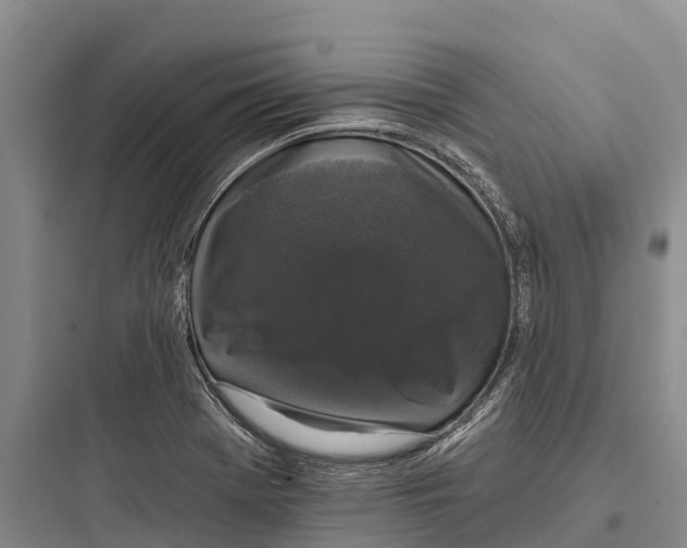 X0000097591369200803211627