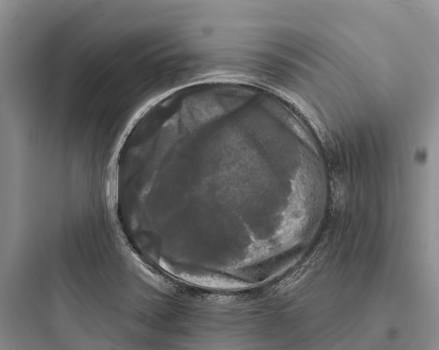 X0000097591371200803211627