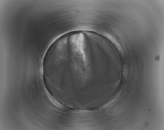 X0000097591372200803211627