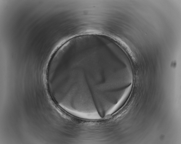 X0000097591373200803211627