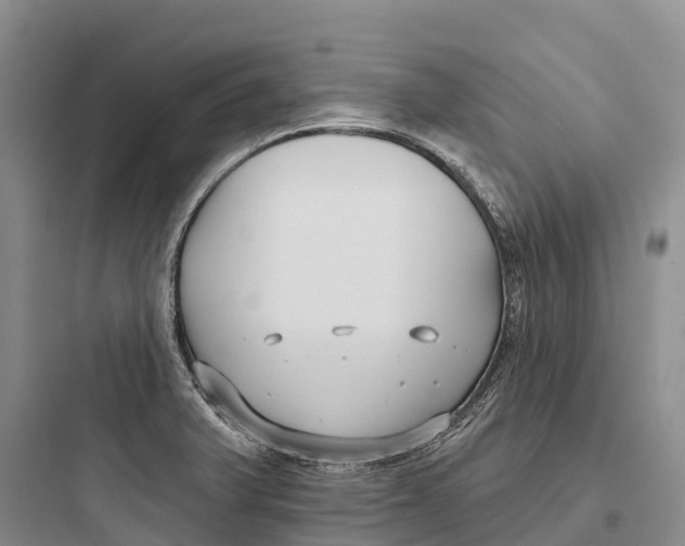 X0000097591375200803211627