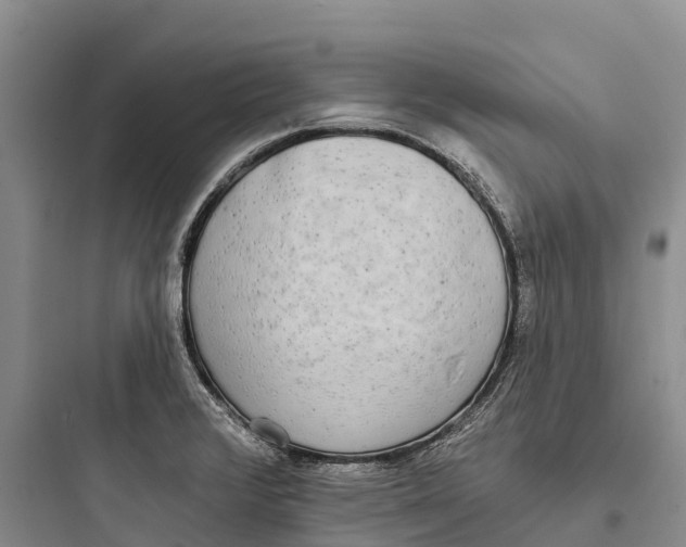 X0000097591376200803211627