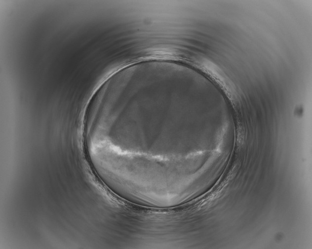 X0000097591378200803211627