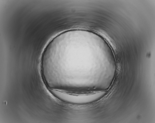 X0000097591379200803211627