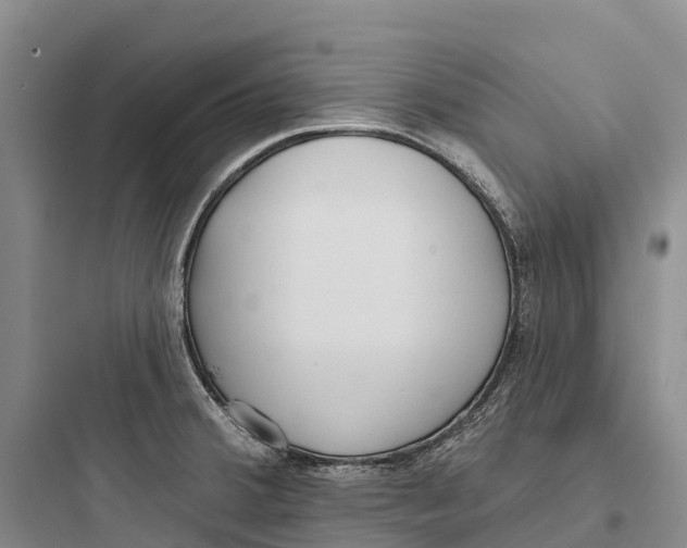 X0000097591380200803211627