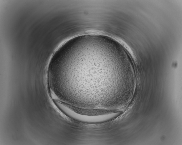 X0000097591381200803211627