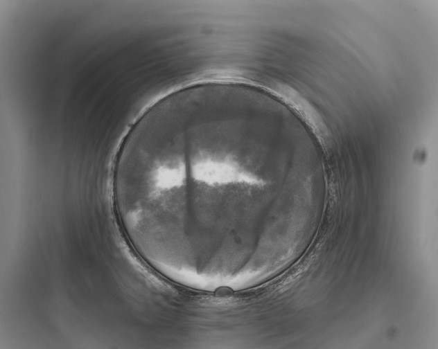 X0000097591382200803211627