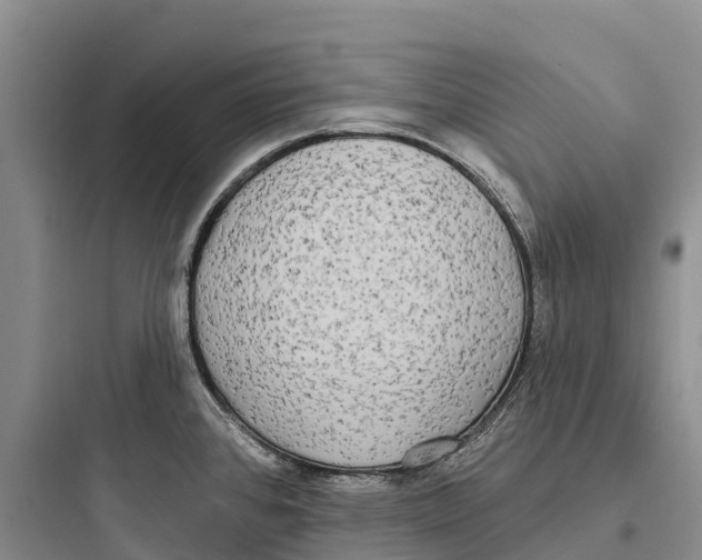 X0000097591384200803211627