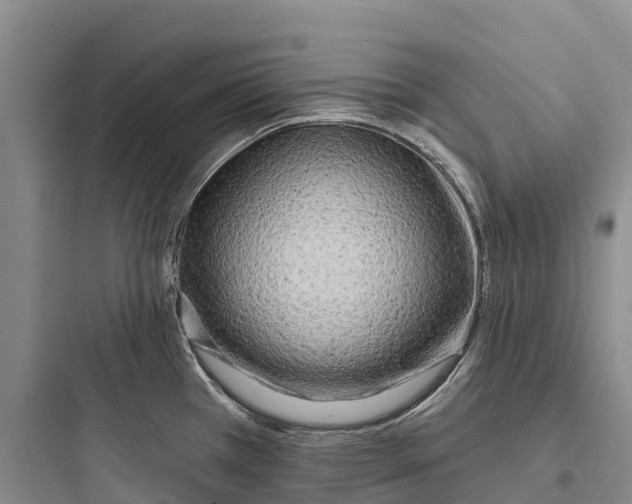 X0000097591385200803211626