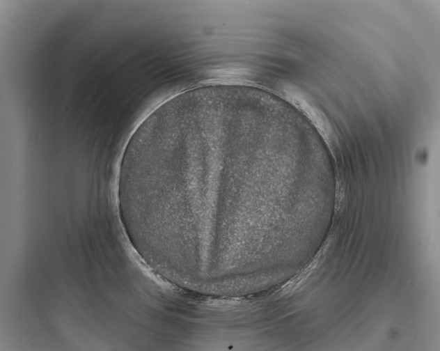 X0000097591386200803211626