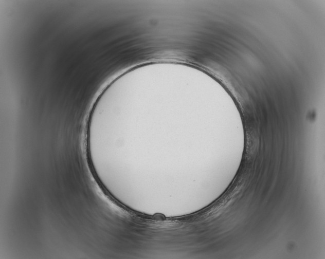 X0000097591387200803211626