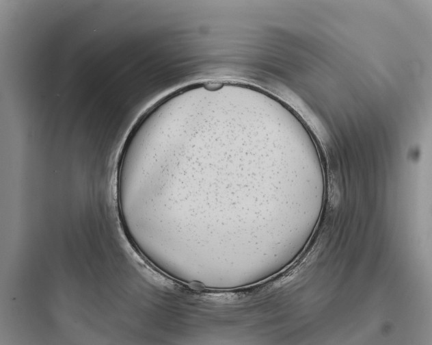 X0000097591388200803211626