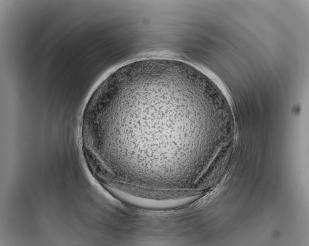 X0000097591389200803211626