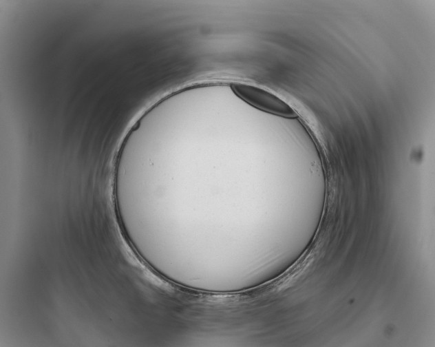 X0000097591390200803211626