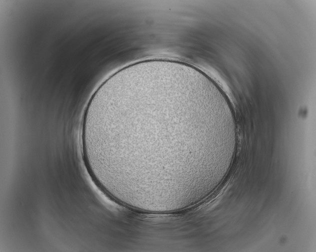 X0000097591391200803211626