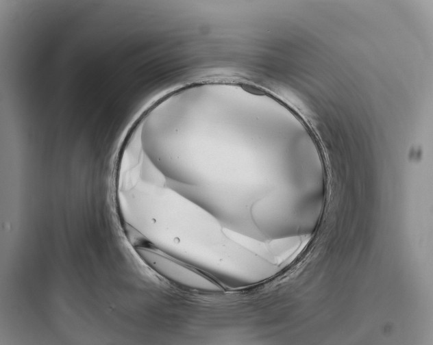 X0000097591392200803211626