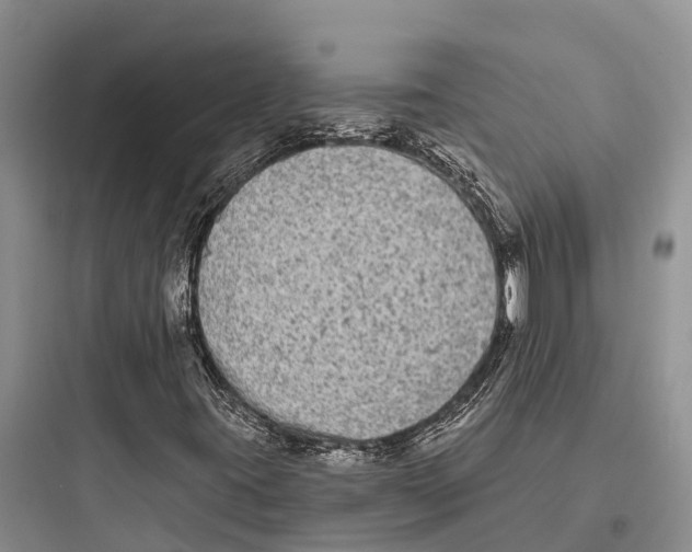 X0000097591395200803211626