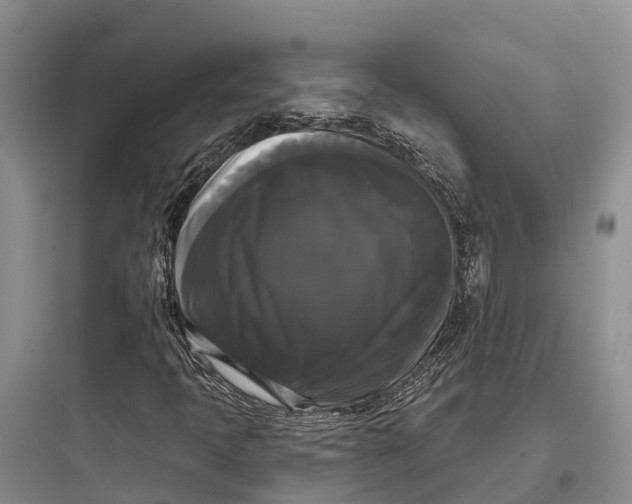 X0000097591397200803211626