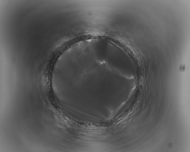 X0000097591398200803211626