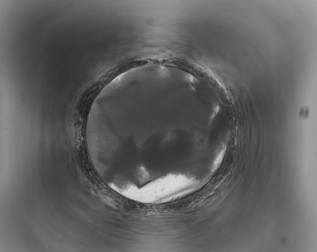 X0000097591399200803211626