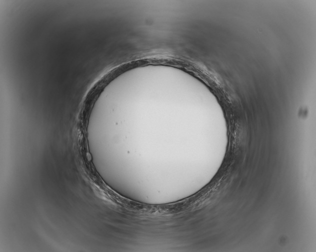 X0000097591400200803211626