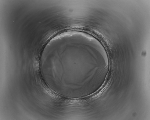 X0000097591401200803211626